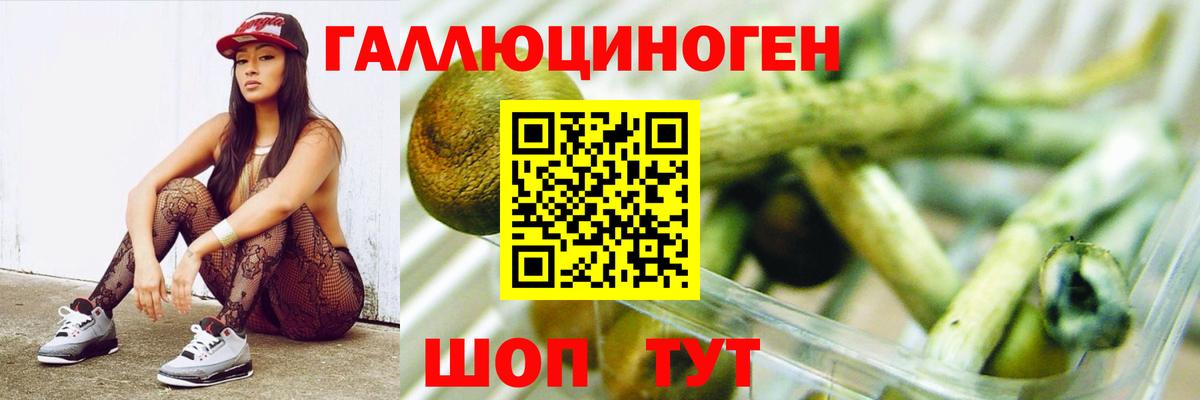 Галлюциногенные грибы Cubensis  Вход с VPN  Каменск-Уральский 