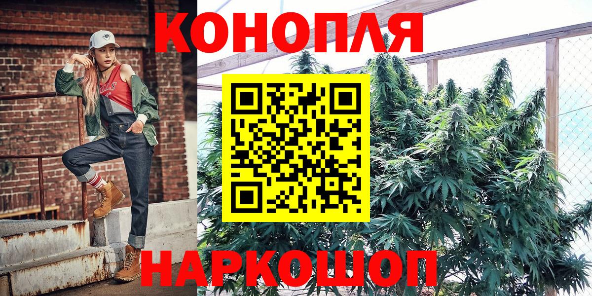 Бошки Шишки планчик Каменск-Уральский